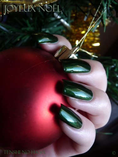 Jolly Holly 7
