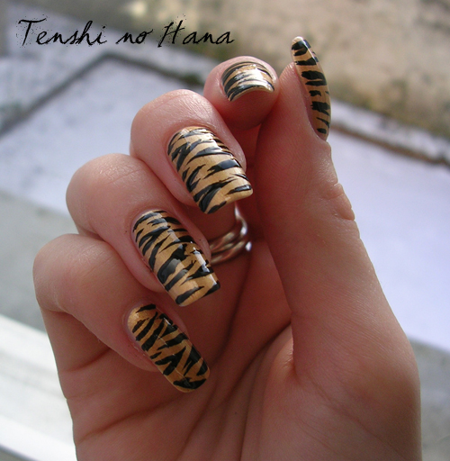 tigre chanel 6