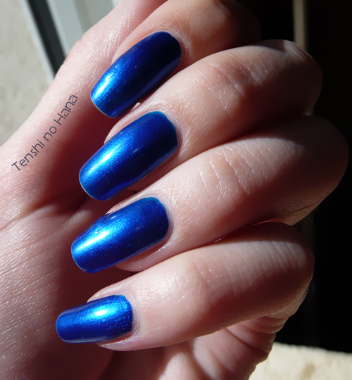 Sinful Midnight Blue 2