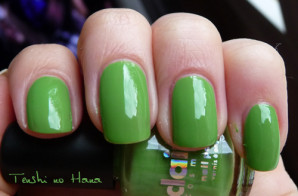 swatch vert