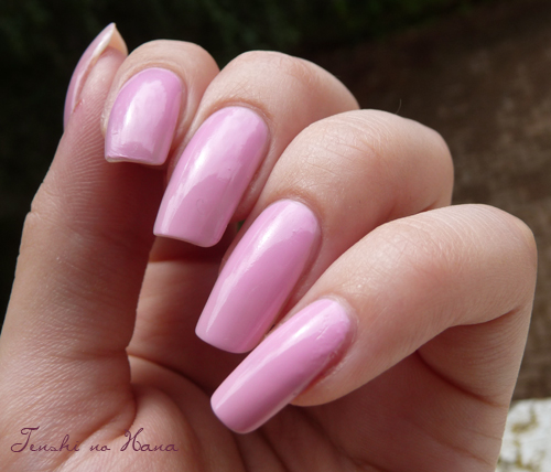 Iced Pink 1
