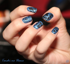 Black shatter sur bleu kiko 05