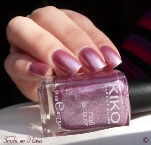 kiko rose givré 260 4