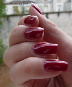 rosso charme 5