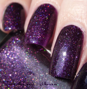 violet nuit 255 4