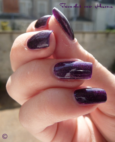 violet nuit 255 5