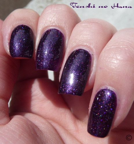 violet nuit 255 6