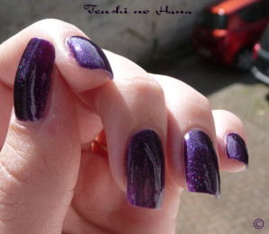 violet nuit 255 7