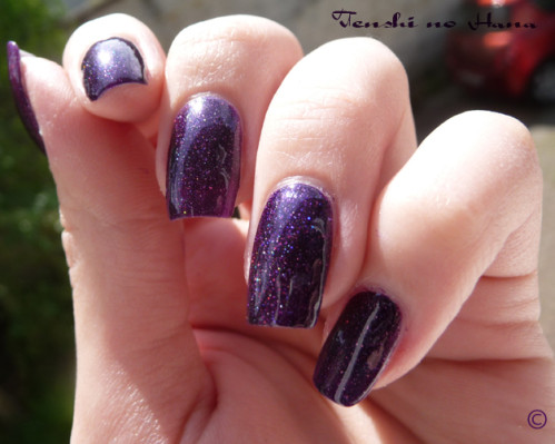 violet nuit 255 8