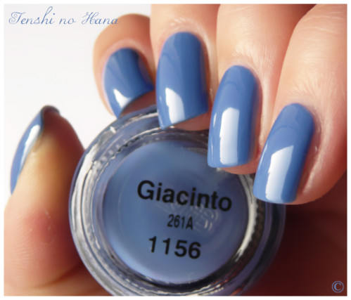 Giacinto 6