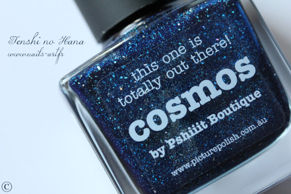 cosmos 01b