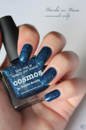 cosmos 06