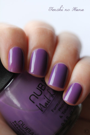 grape 4