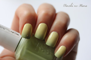 gradient models own essie navigate her 3