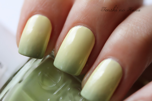 gradient models own essie navigate her 4