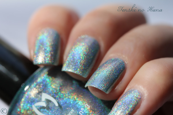 holo bluemotion 3