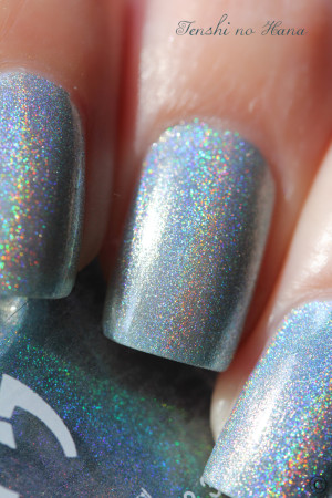 holo bluemotion 5