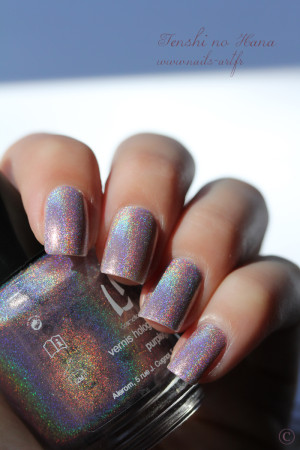 holo purpleglow 4