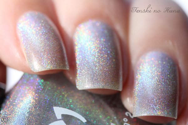 holo silvershape 2