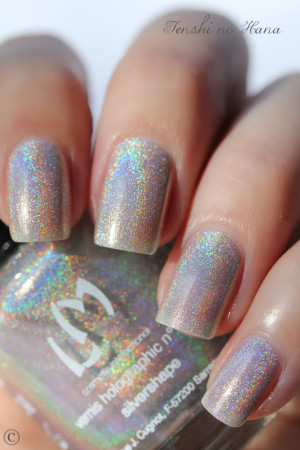 holo silvershape 3