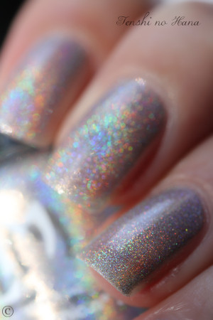 holo silvershape 4