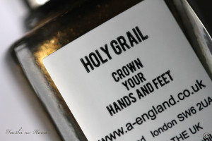 Holy Grail 01c