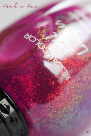 Chunky holo Fuschia 1c