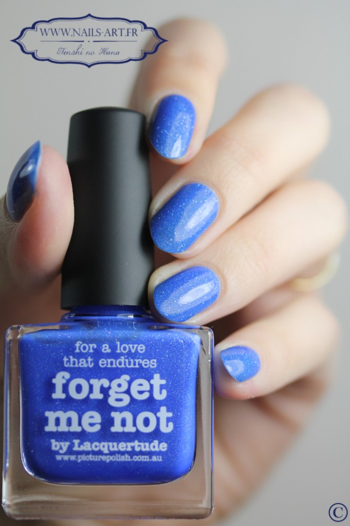 Forget me not 4
