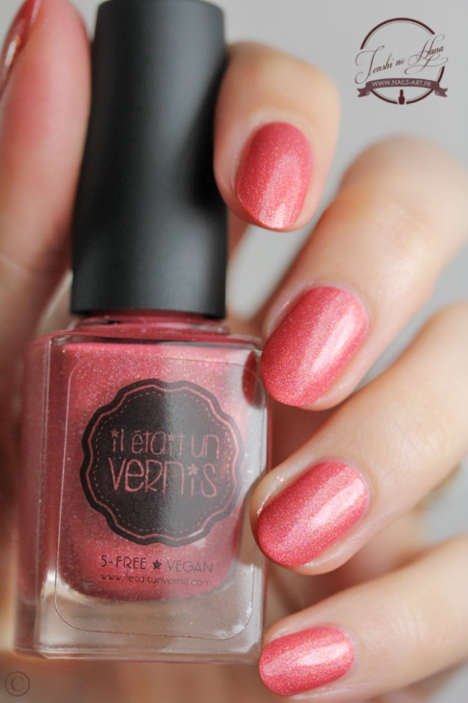 paeonia 04