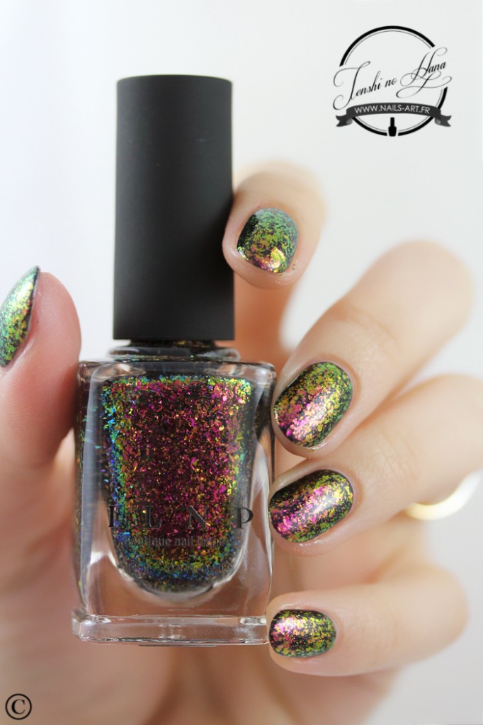 electric carnival base lady of shalott 6